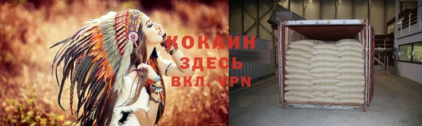 хмурый Корсаков