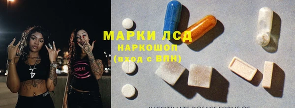 хмурый Корсаков
