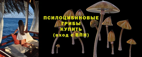 ECSTASY Костерёво
