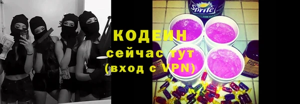 хмурый Корсаков