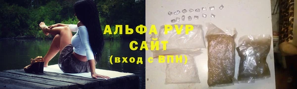 ECSTASY Костерёво