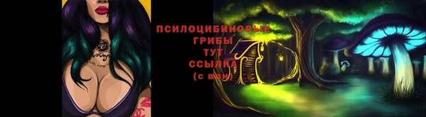ECSTASY Костерёво