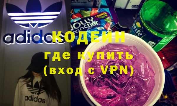 хмурый Корсаков