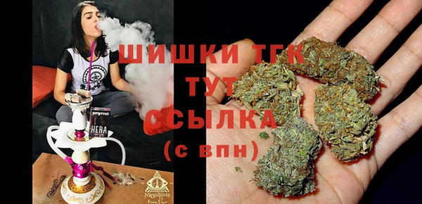 хмурый Корсаков