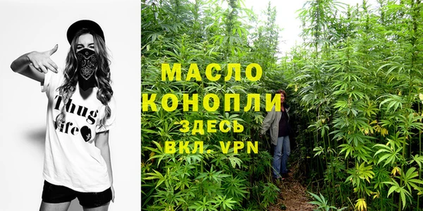 хмурый Корсаков