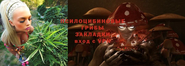 мет Коряжма