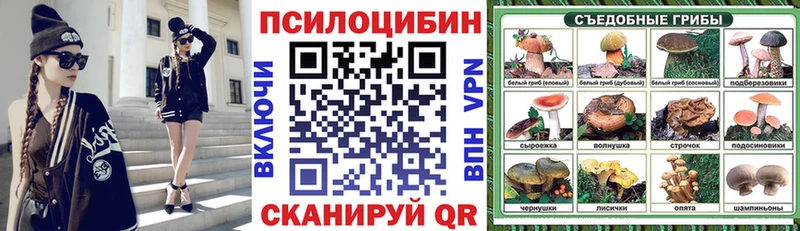 Псилоцибиновые грибы Psilocybine cubensis  Трёхгорный 